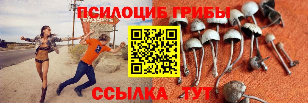Галлюциногенные грибы прущие грибы  Галлюциногенные грибы Psilocybe  Карачаевск  Вход с VPN 