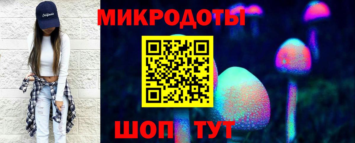 Галлюциногенные грибы Psilocybe Карачаевск